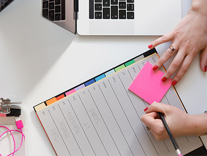 Станьте мастером WordPress